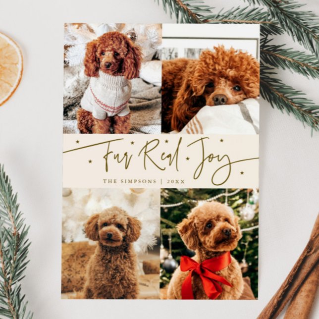 Funny Fur Real Joy Dog Photo Cream Christmas  Holiday Card (Creator Uploaded)