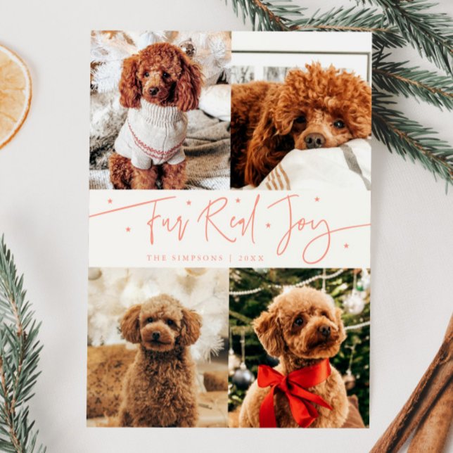 Funny Fur Real Joy Dog Photo Peach Christmas  Holiday Card (Creator Uploaded)