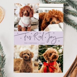 Funny Fur Real Joy Dog Photo Purple Christmas Holiday Card
