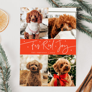 Funny Fur Real Joy Dog Photo Red Christmas  Holiday Card