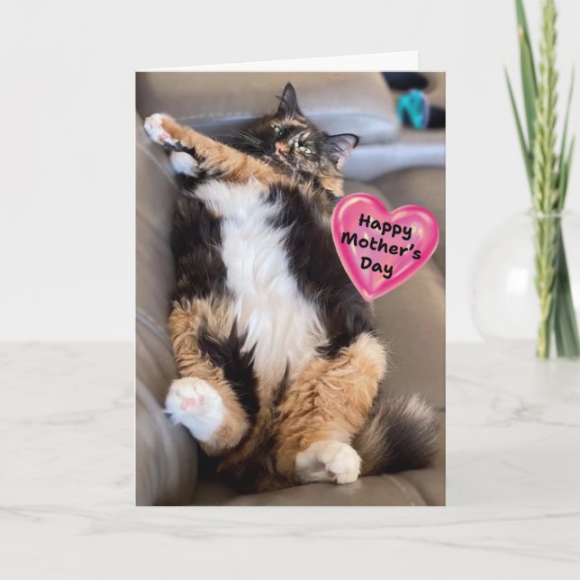 Funny Furry Cat Happy Mother's Day Card (Front)