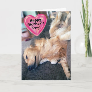 Funny Furry Golden Retriever Mother's Day Card