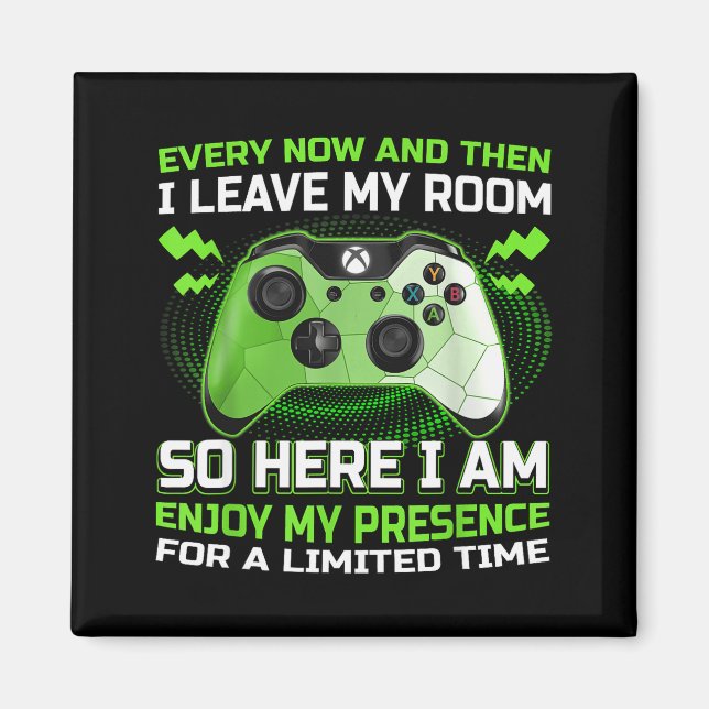 Funny Gamer I Don't Always Play Video Games Gift B Magnet (Front)