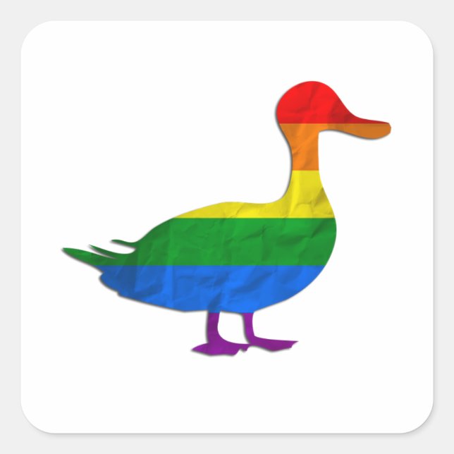 Funny Gay and Lesbian Pride Duck, Quack Quack Square Sticker (Front)