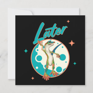 Funny Gecko Later