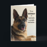 Funny German Shepherd Birthday Card<br><div class="desc">Funny German Shepherd birthday card for anyone! This card is customisable with your personalised message.</div>