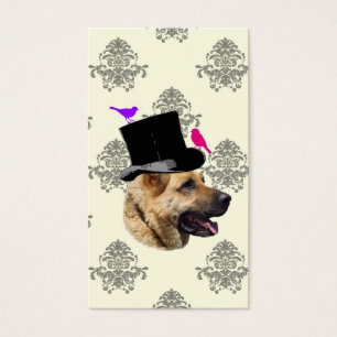 Funny German shepherd dog