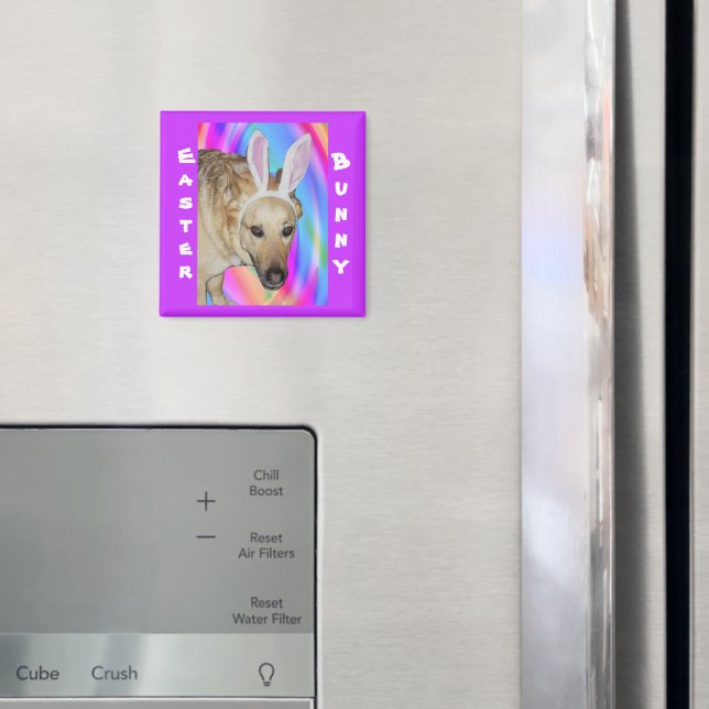 Funny German Shepherd Dog & Easter Bunny Ears Magnet (In Situ (Fridge))