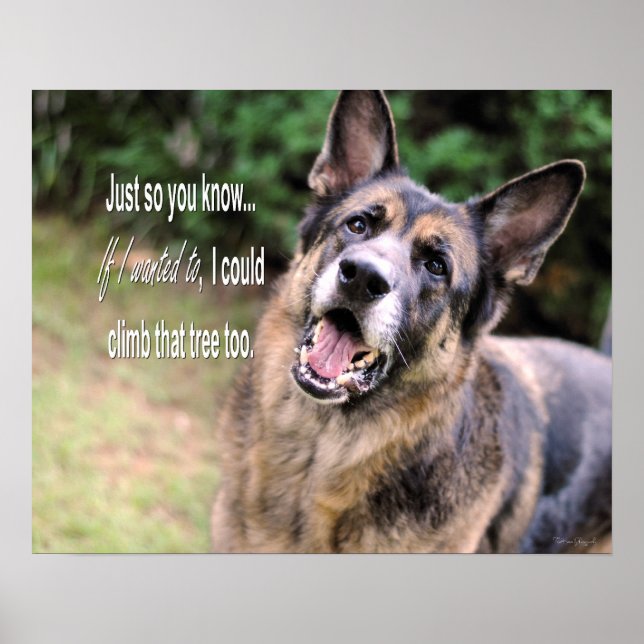 Funny German Shepherd Dog Poster Print (Front)