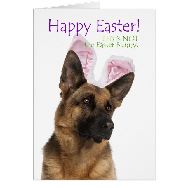 Funny German Shepherd Easter Card (Front)