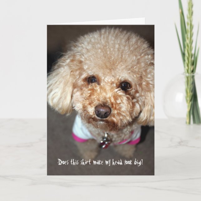 Funny get well card (Front)