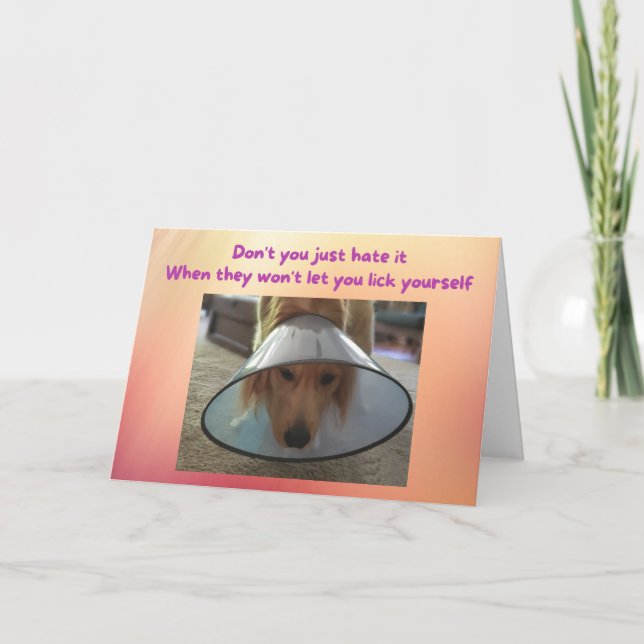 Funny Get Well Card Dog in Cone (Front)
