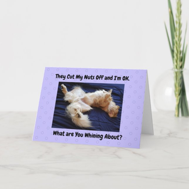 Funny Get Well Card Golden Retriever Showing Off (Front)