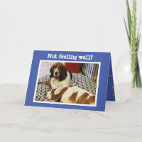 Funny "Get Well" Card w/Cute Basset Hounds
