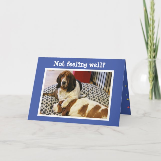Funny "Get Well" Card w/Cute Basset Hounds (Front)