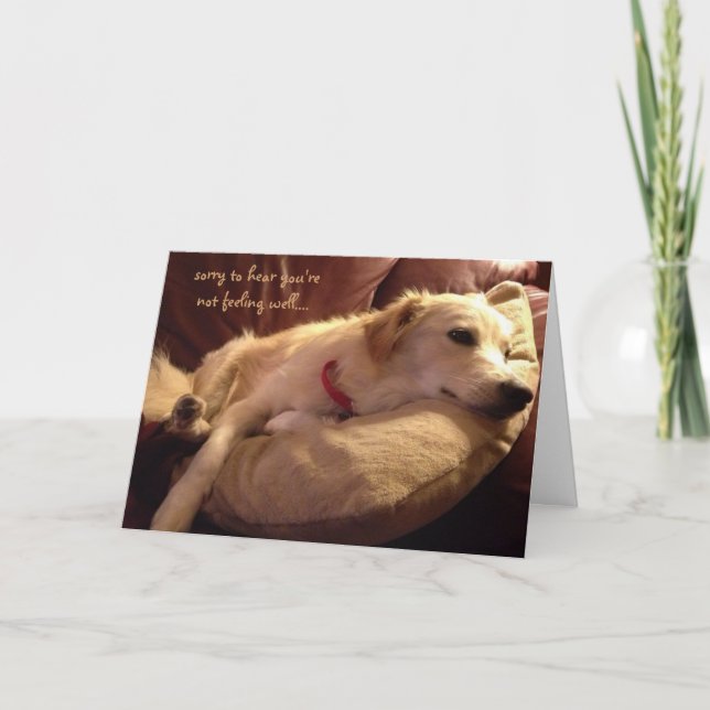 Funny Get Well, Cute Sleeping Dog Dreams Card (Front)