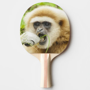 Funny Gibbon Animal Photo Ping Pong Paddle