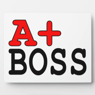 Funny Gifts for Bosses : A+ Boss Plaque