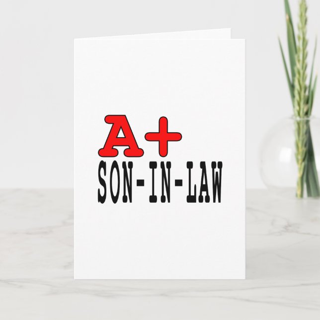 Funny Gifts for Sons in Law : A+ Son in Law Holiday Card (Front)