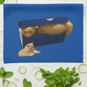 Funny Ginger Cat In A Shoe Box, Dish Towel