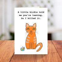 Funny ginger cat leaving retirement