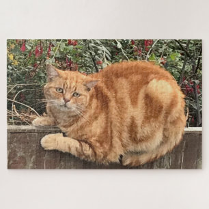 Funny Ginger Cat on Fence Sideways on Jigsaw Puzzle