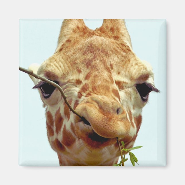 funny giraffe baby magnet (Front)