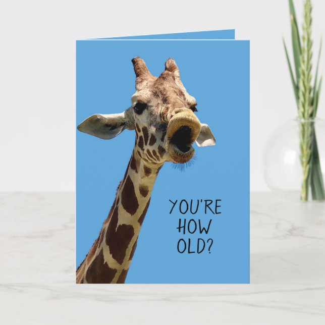 Funny Giraffe Birthday Card (Front)