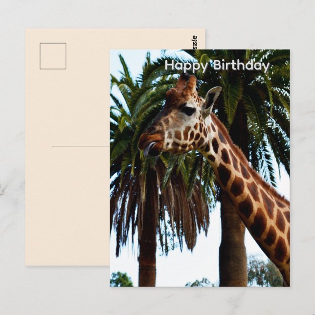 Funny Giraffe Giving A Raspberry Birthday Postcard (Front/Back)