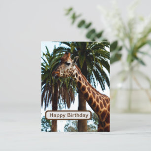 Funny Giraffe Giving A Raspberry, Postcard