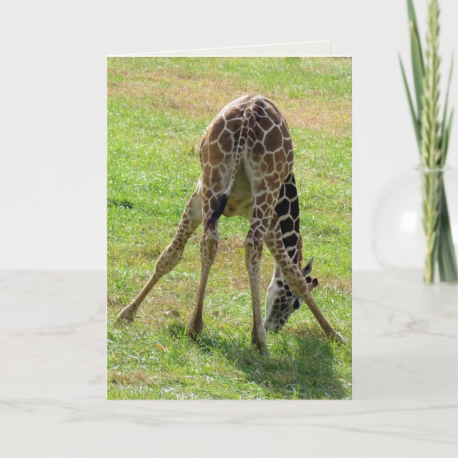 Funny Giraffe Greeting Card (blank inside) (Front)