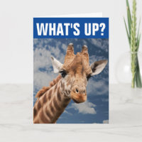 FUNNY GIRAFFE GREETING CARD TO SAY HELLO