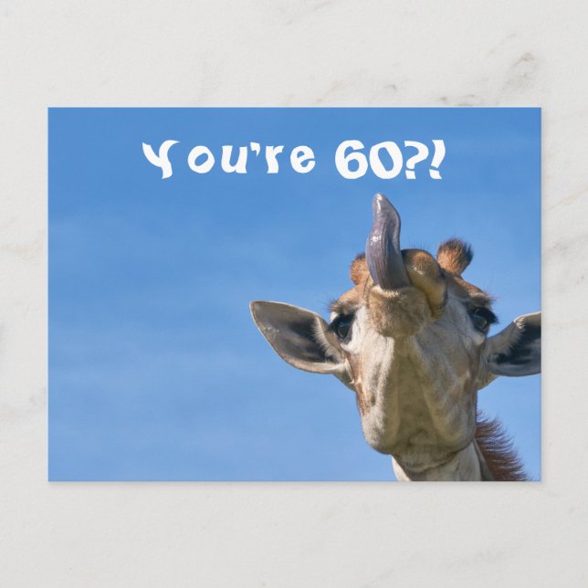 Funny Giraffe Happy 60th Birthday Postcard (Front)