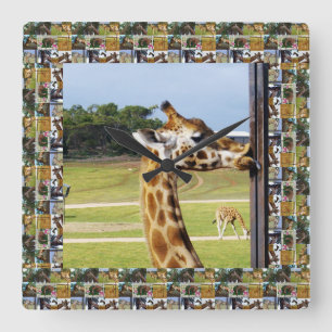 Funny Giraffe Licking A Pole, Square Wall Clock