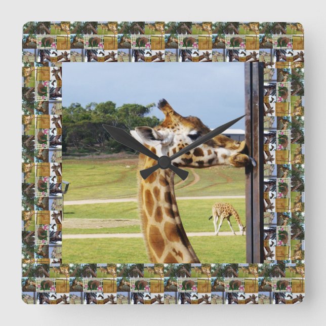 Funny Giraffe Licking A Pole, Square Wall Clock (Front)