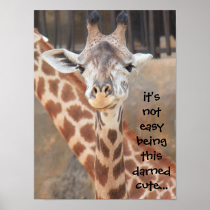 Funny Giraffe Poster (16x12) not easy being cute!