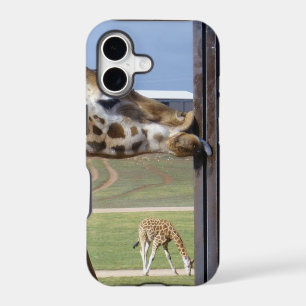 Funny Giraffe Pucker Up,