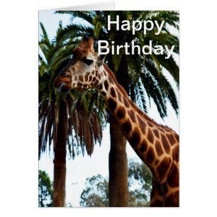 Funny Giraffe Raspberry, Birthday Card