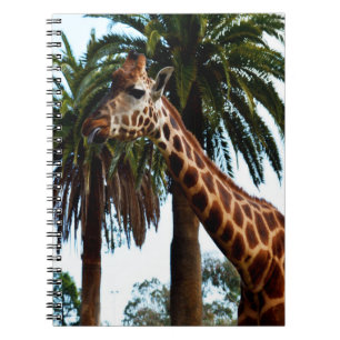 Funny Giraffe Raspberry, Notebook