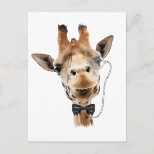 Funny Giraffe with Bowtie and Monocle Postcard