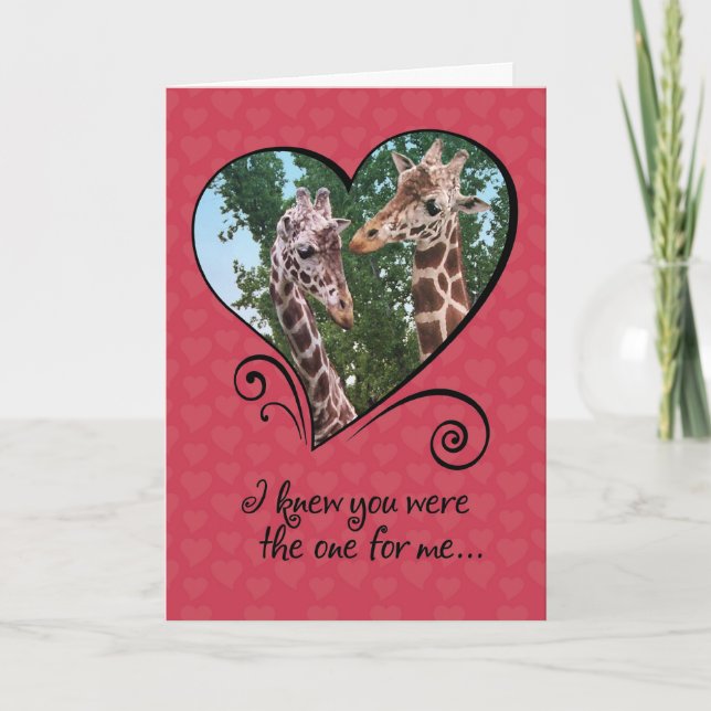 Funny Giraffes Valentines Day Card (Front)