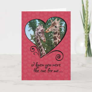 Funny Giraffes Valentines Day Card