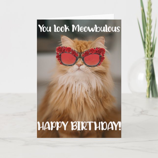 Funny Glamourous Cat Birthday Greeting Card  (Front)