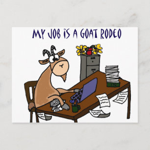 Funny Goat at Desk Goat Rodeo Job Humour Postcard