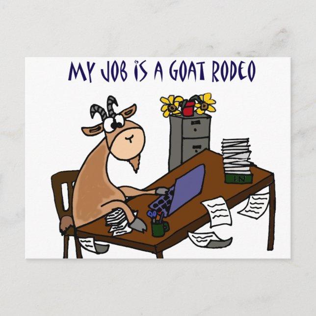 Funny Goat at Desk Goat Rodeo Job Humour Postcard (Front)