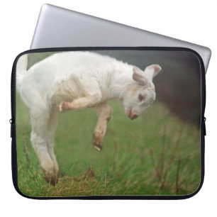 Funny Goat Baby White Goat Jumping in Pasture Laptop Sleeve