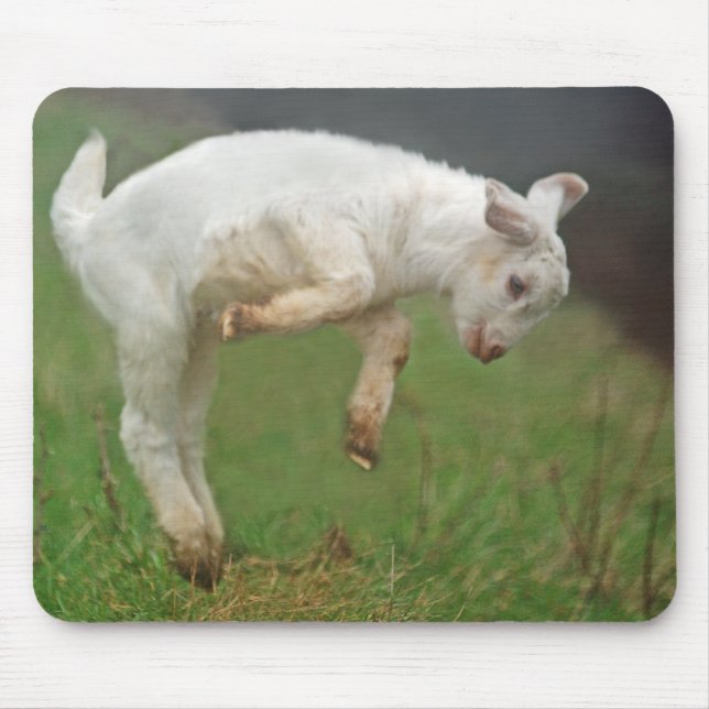 Funny Goat Baby White Goat Jumping in Pasture Mouse Pad (Front)