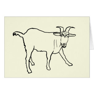 Funny Goat Drawing Quirky Cartoon Farm Animal Art
