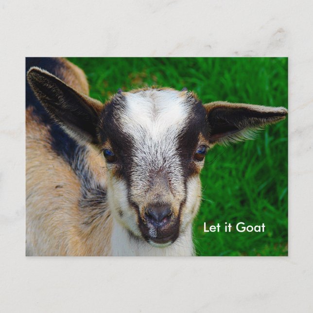 Funny Goat Parody Postcard (Front)