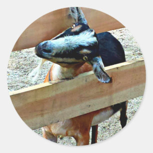 Funny Goat - Sheet of Stickers